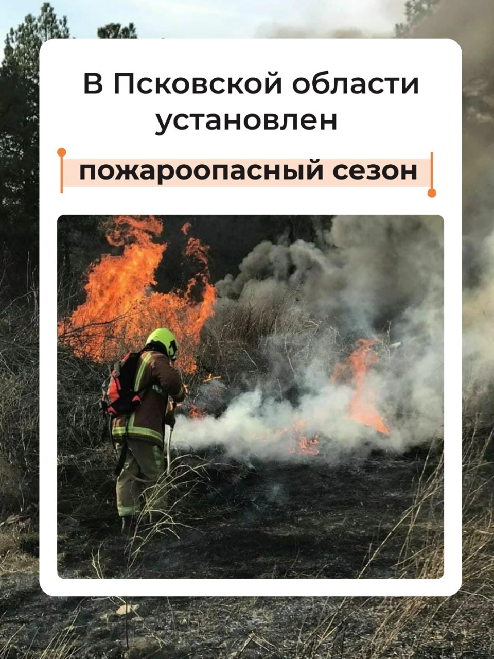 С 27 марта в Псковской области установлен пожароопасный сезон.