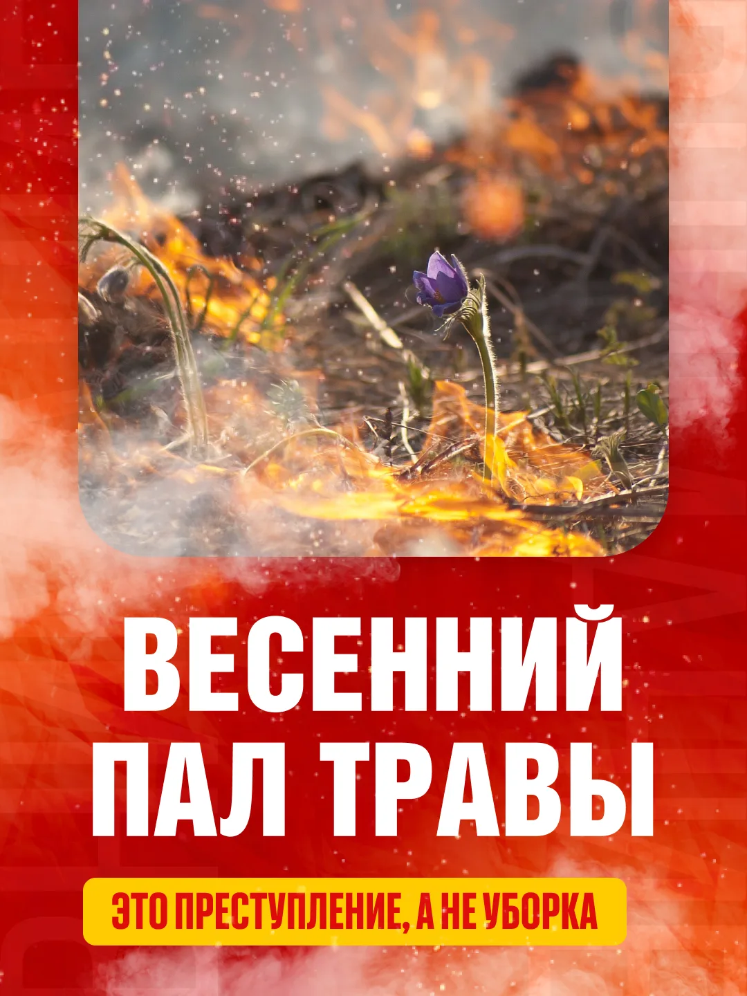 Паблики предупреждают о пожароопасном сезоне_23.04.