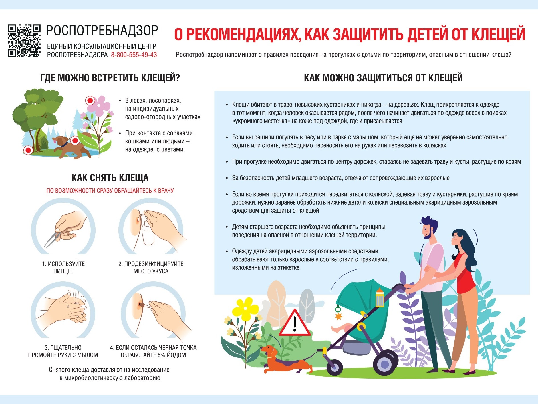 О проведении "Горячей линии" Роспотребнадзора по Псковской области.