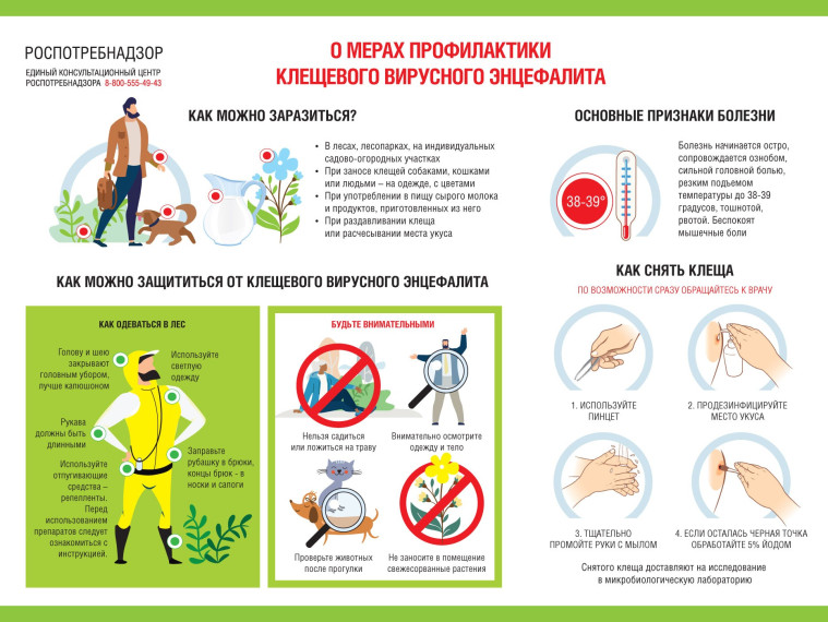О проведении "Горячей линии" Роспотребнадзора по Псковской области.